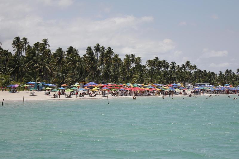 From Recife or Porto de Galinhas: Maragogi Reef Tour: Full Day