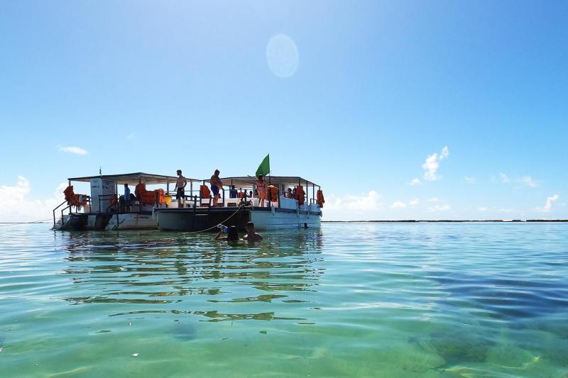 From Recife or Porto de Galinhas: Maragogi Reef Tour: Full Day