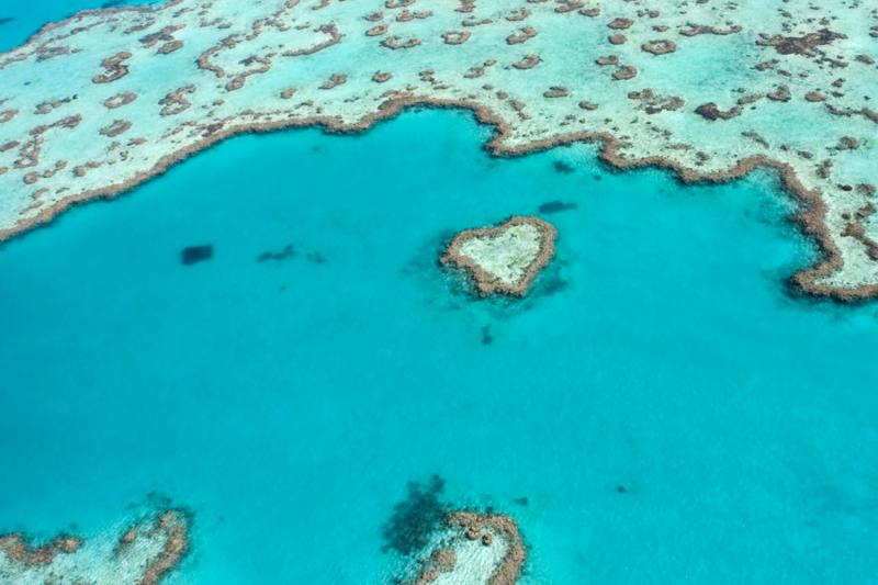 From Recife or Porto de Galinhas: Maragogi Reef Tour: Full Day