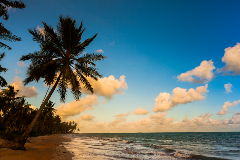 Maceió: São Miguel dos Milagres Beach & Natural Pools: Full Day