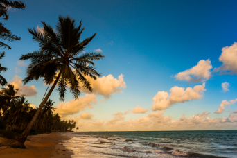 Maceió: São Miguel dos Milagres Beach & Natural Pools: Full Day