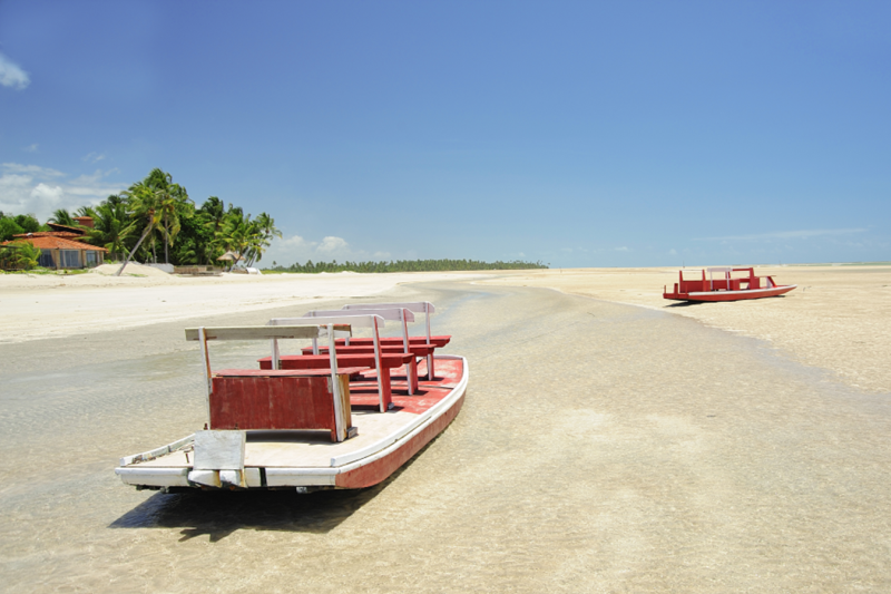 Maceió: São Miguel dos Milagres Beach & Natural Pools: Full Day