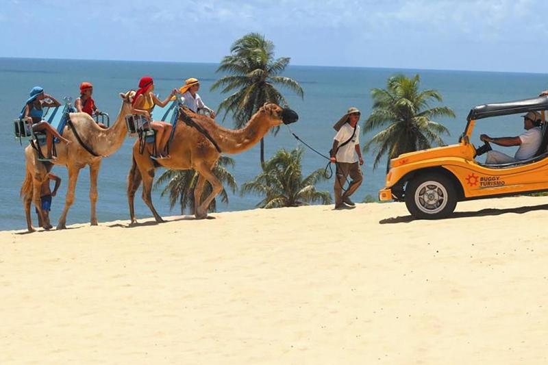 From Natal: Genipabu Beach & Optional Buggy Adventure