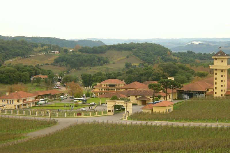 Gran Reserva - Wine Tasting