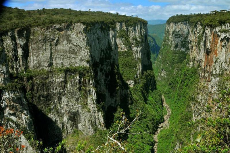 Aparados da Serra: Canyon Itaimbezinho Tour with Picnic: Full Day