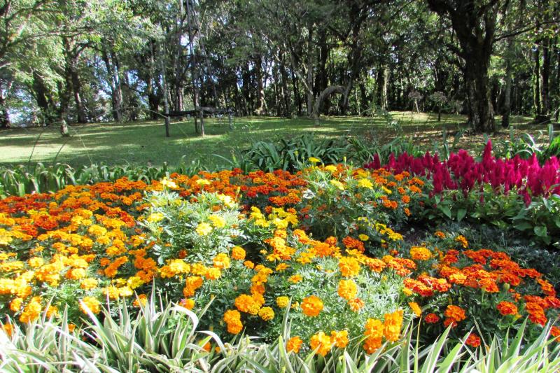 Flowers Square