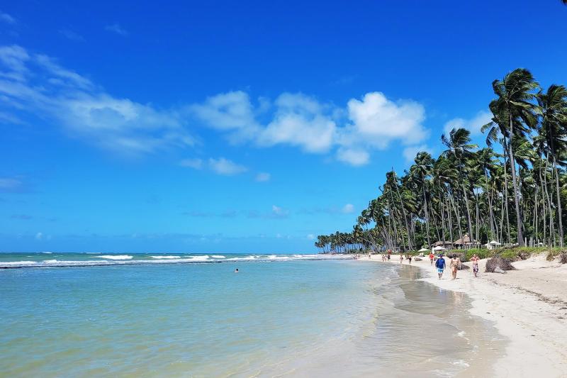 From Recife: Carneiros Beach & Natural Pools Experience: Full Day