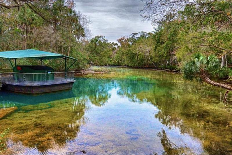 Swim & Snorkel with Manatees Tour from Orlando