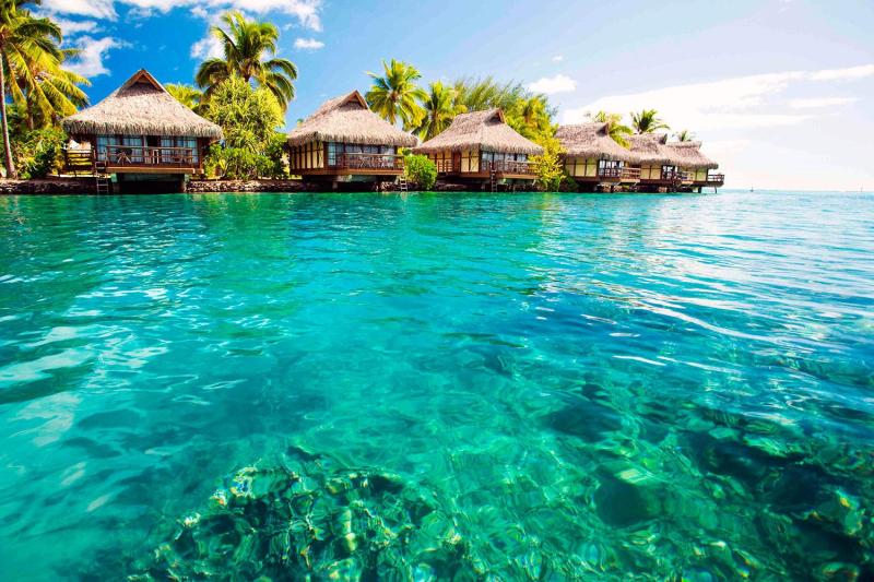 From Fort Lauderdale: Ferry tickets to Bimini, Bahamas Economy Class