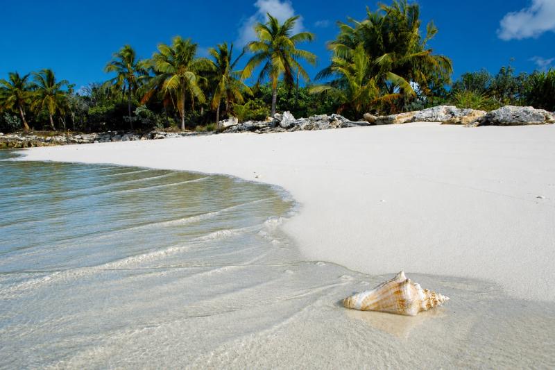 From Fort Lauderdale: Ferry tickets to Bimini, Bahamas Economy Premium Class