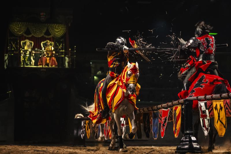 Orlando: Medieval Times Dinner & Tournament