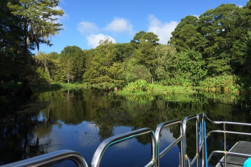 See another side of Florida that goes beyond the theme parks