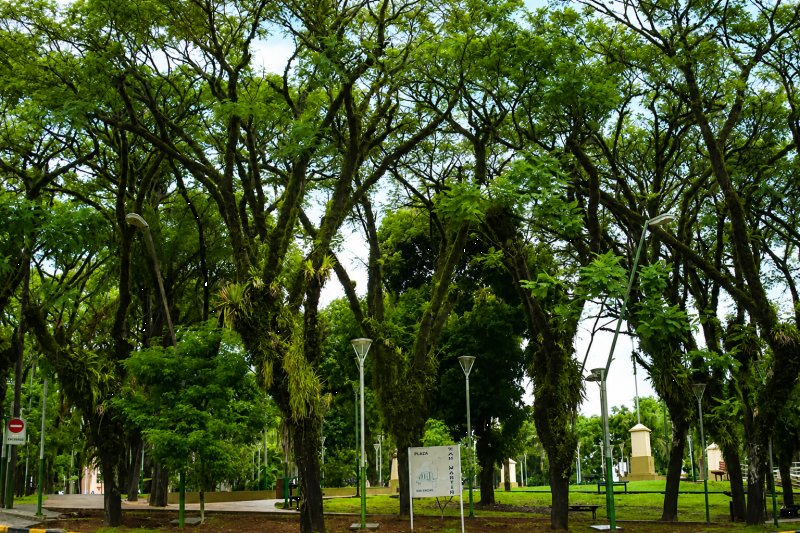 Explore Puerto Iguazú: City Tour with Triple Border