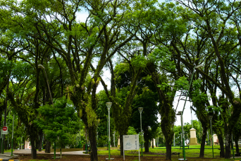 Explore Puerto Iguazú: City Tour with Triple Border