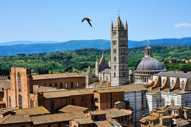 From Florence: Pisa, San Gimignano, Siena & its Cathedral Tour with Lunch & Wine