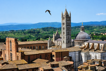 From Florence: Pisa, San Gimignano, Siena & its Cathedral Tour with Lunch & Wine