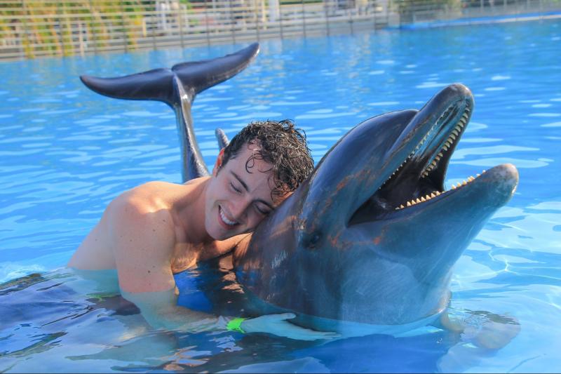 Dolphin Encounter