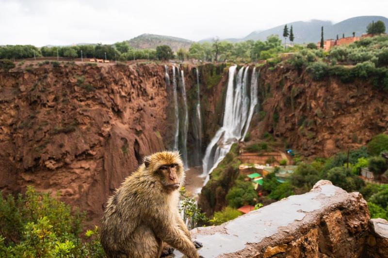 From Marrakech: Magic Ouzoud Falls Full Day Tour