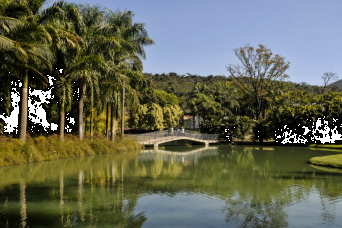 From Belo Horizonte: Inhotim Open-Air Museum & Botanical Garden Experience: Full Day