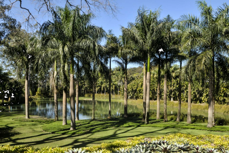 From Belo Horizonte: Inhotim - One of the World’s Largest Open-Air Museums: Full Day