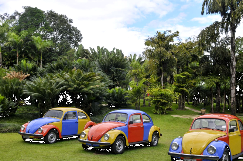From Belo Horizonte: Inhotim - One of the World’s Largest Open-Air Museums: Full Day