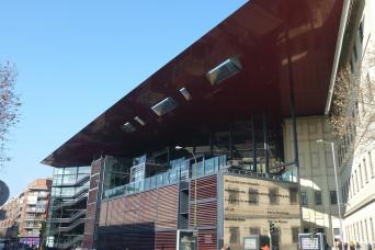 Private Reina Sofía Museum Tour: Skip the line