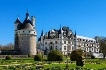 From Paris: Full Day at Your Leisure to Discover the Loire Valley Castles