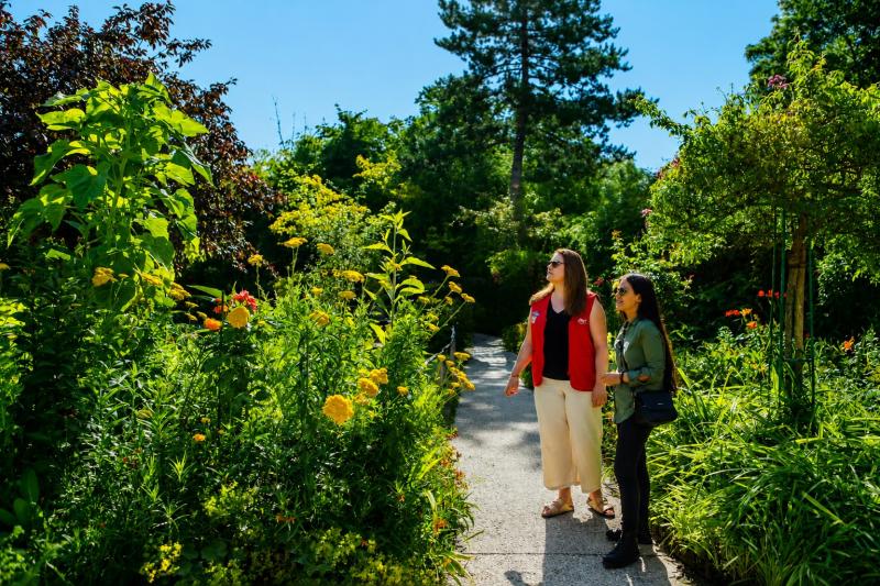 From Paris: Half Day Private Guided Giverny Tour (reserved access) (1-7 Persons)