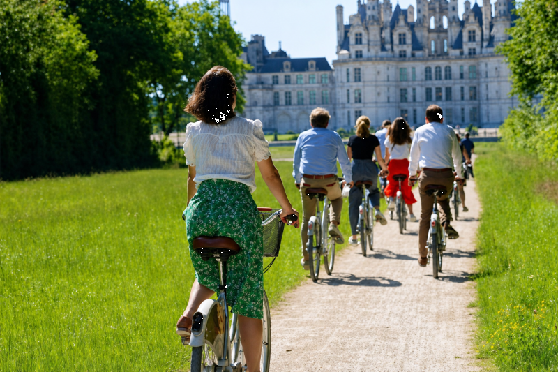 From Paris: Full Day Private Guided Loire Valley Châteaux Tour for 1-7 Guests