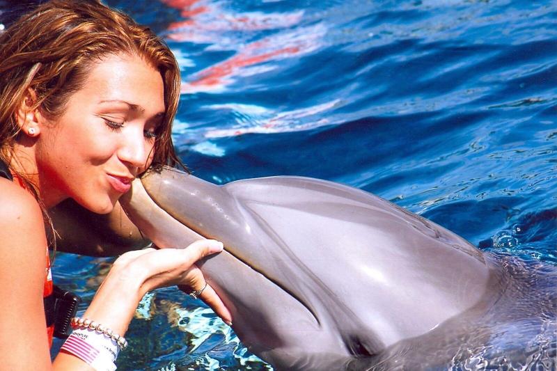 Dolphin Encounter family activity