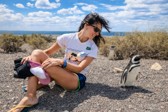 Puerto Madryn: Full Day Excursion to Punta Tombo