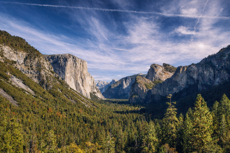 From San Francisco: Yosemite National Park Day Tour