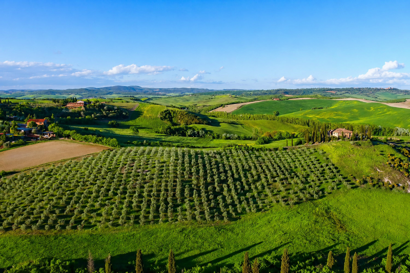 Tuscan Countyside