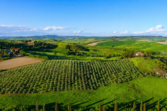 From Florence: Siena, San Gimignano & Pisa Day Trip by Bus with Tour Escort