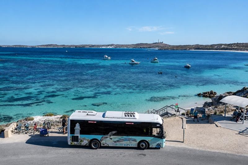 From Perth: Rottnest Island Ferry and Bayseeker Tour