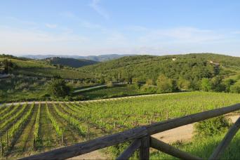 The Best of Chianti Classico with two stops in two villages and Wine & Dine – Private Tour