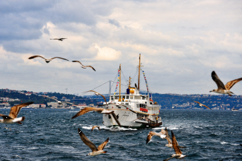 From Istanbul: A Day in a Princes Islands Economic Tour Full Day