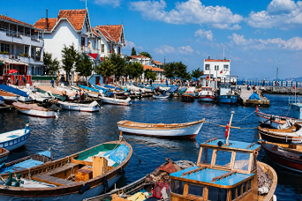 From Istanbul: Princes Islands Full Day