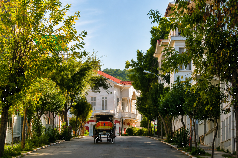 From Istanbul: Princes Islands Full Day