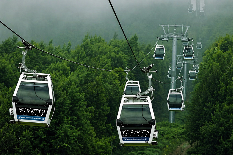 Meaning of Green Bursa