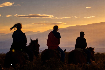 Mendocino Sunset: Horseback Riding, Nature and Creole Flavors