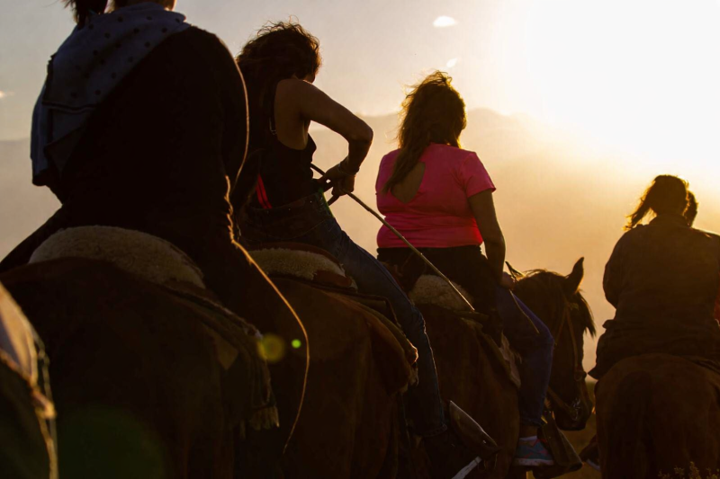 Mendocino Sunset: Horseback Riding, Nature and Creole Flavors