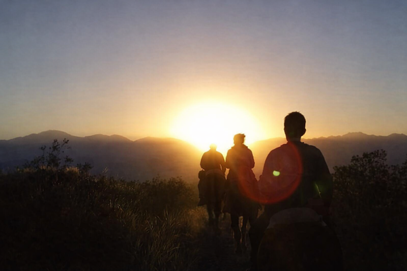 Mendocino Sunset: Horseback Riding, Nature and Creole Flavors