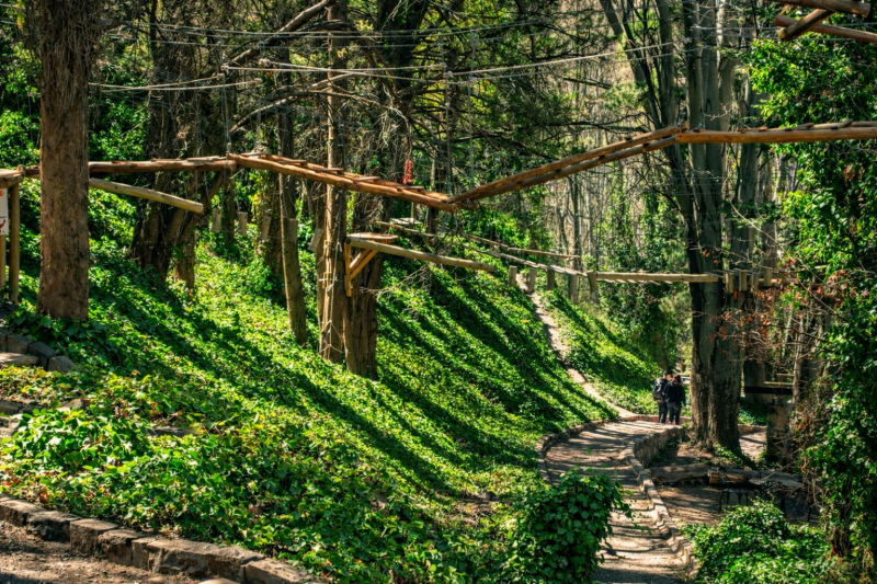 Villavicencio Natural Reserve: A Unique Encounter with Nature