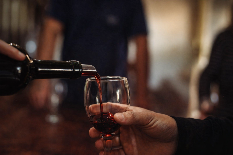 Flavors and Landscapes of Mendoza: Wine and Olive Oil Route
