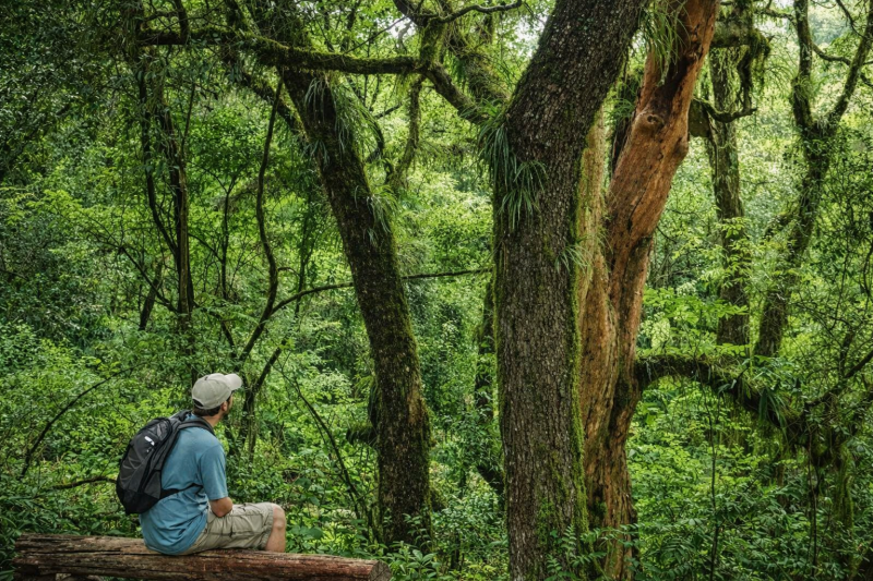Trekking in San Lorenzo, Salta