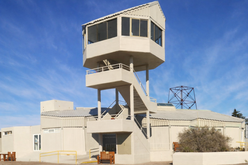 Puerto Madryn: Excursion to Peninsula Valdes Classic
