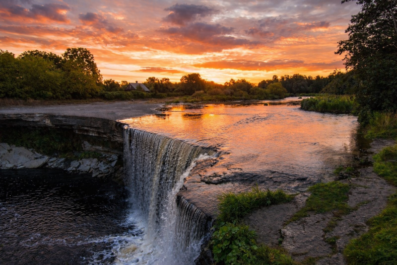Iguazú Falls Adventure: FWD in the Jungle and Great Adventure from Hotels in Foz de Iguaçu, Brazil