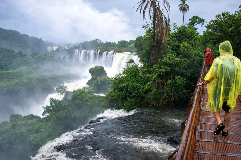 Iguazú Falls Adventure: FWD in the Jungle and Great Adventure from Hotels in Foz de Iguaçu, Brazil