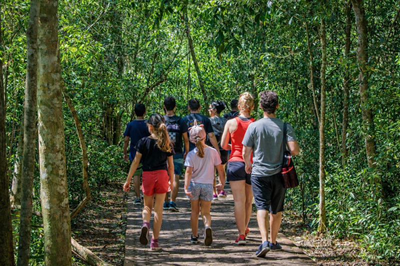 Iguazú Falls Adventure: FWD in the Jungle and Great Adventure from Hotels in Foz de Iguaçu, Brazil